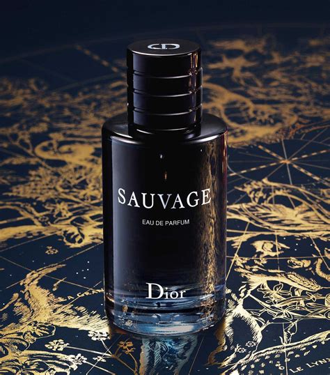 livre Dior Sauvage